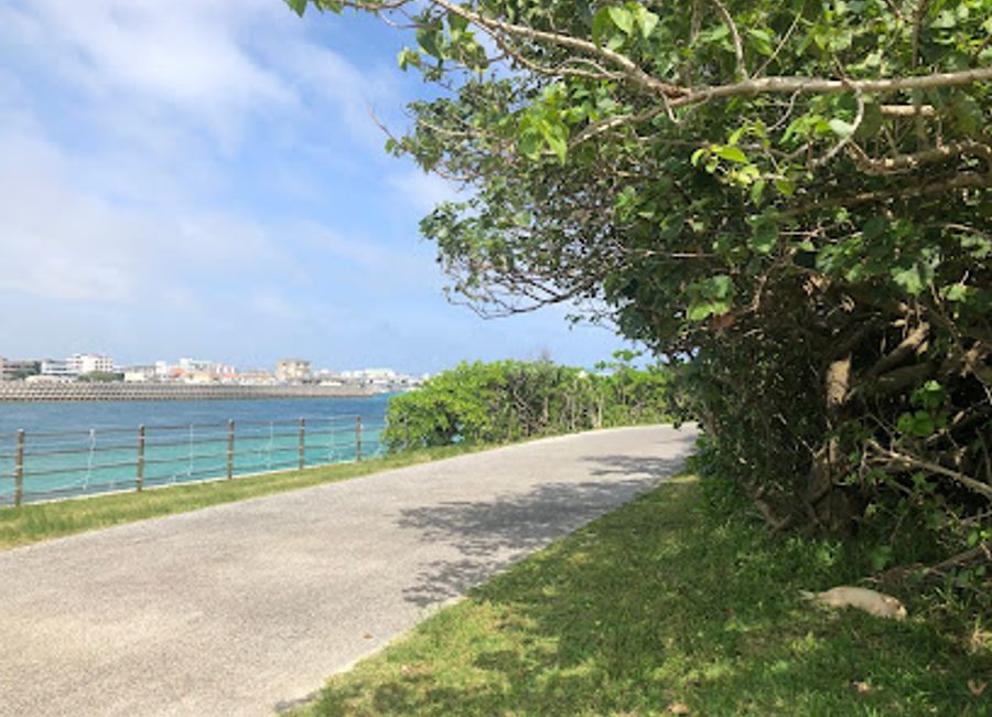 Explore the lush landscapes and serene beauty of Painuhamacho Ryokuchi Park in Ishigaki, Okinawa – a perfect escape for nature lovers.