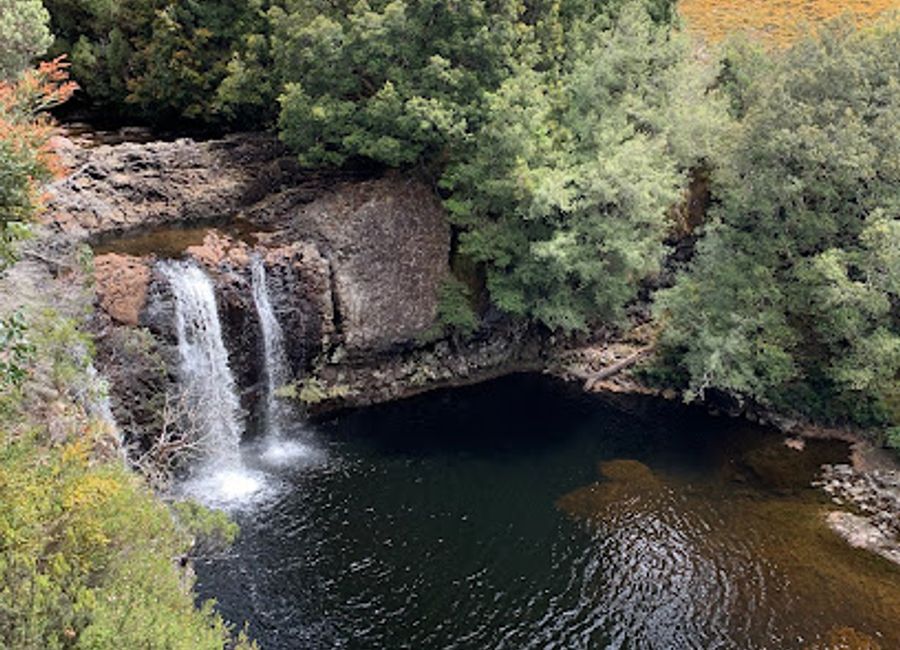 Discover the breathtaking beauty of Tasmania's Rainforest Walk Circuit, a serene trail through lush landscapes teeming with diverse flora and fauna.