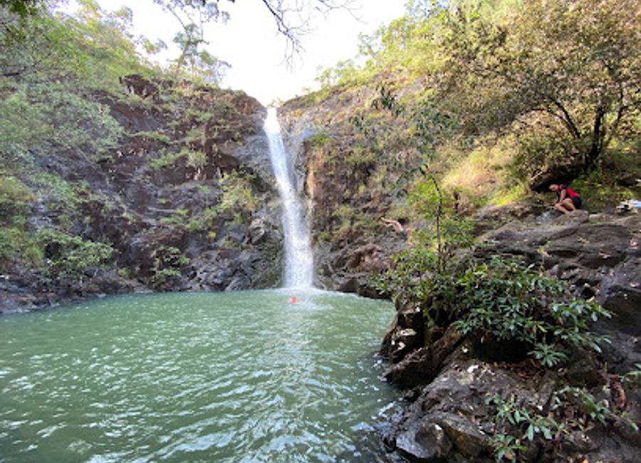 Discover the breathtaking beauty of Attie Creek Falls, a serene oasis nestled in Cardwell, Queensland, perfect for nature lovers and adventure seekers.