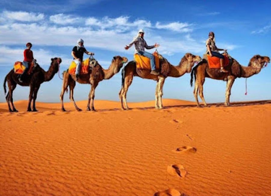 Discover the breathtaking Sahara Desert with Sahara Trips Company, offering unique tours and cultural experiences in Hassilabied, Morocco.