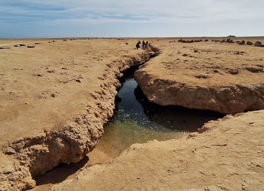 Discover the delightful flavors of Crepa Sismica in Sharm El Sheikh, where savory and sweet crepes meet a charming atmosphere.