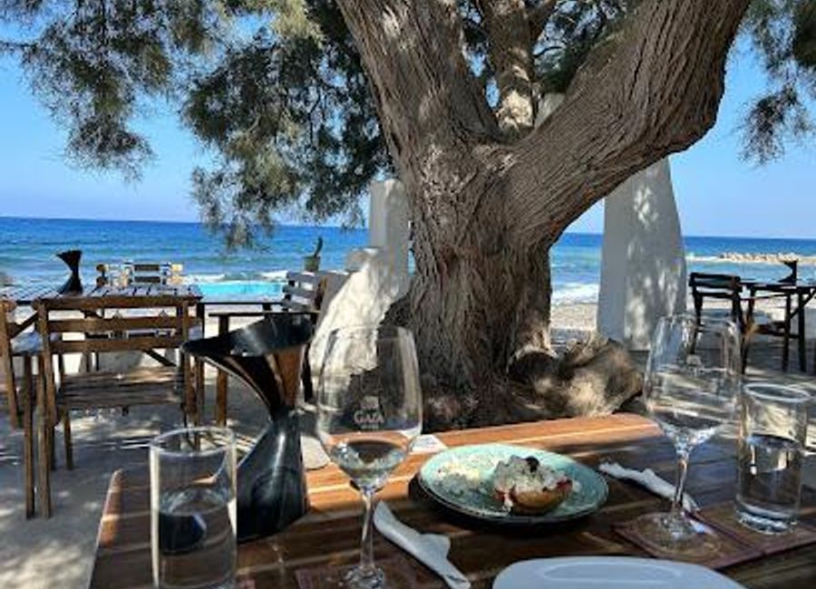 Explore Gaia Wines in Cyprus: A captivating winery experience where tradition meets modernity amidst beautiful vineyards.