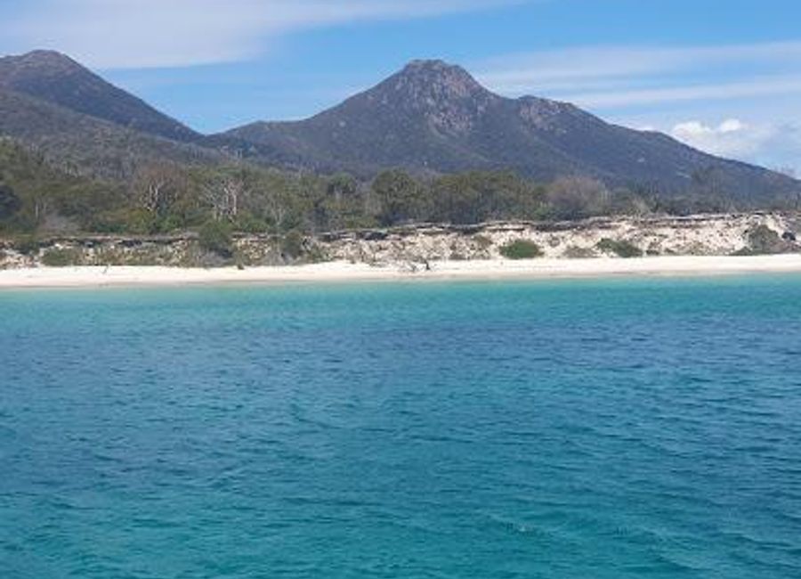 Experience the breathtaking beauty of Tasmania's Wineglass Bay with unforgettable cruises showcasing stunning landscapes and rich marine wildlife.