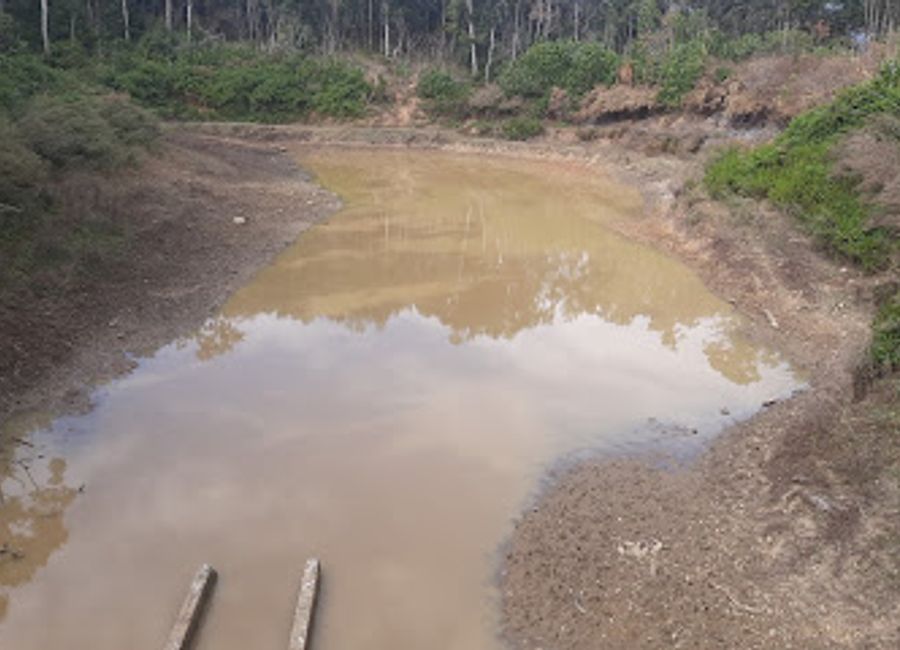 Explore the tranquil beauty of Omley Tshozhaw, an artificial lake in Mendrelgang perfect for wildlife enthusiasts and nature lovers alike.