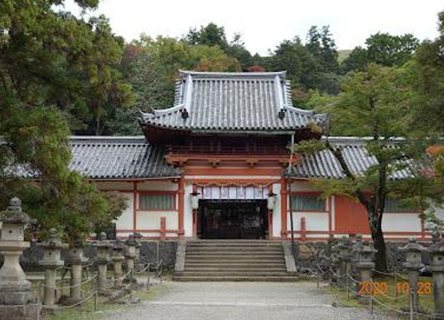 Experience the tranquility and rich history of Tamukeyama Hachimangu, a captivating Shinto shrine in Nara, Japan, surrounded by nature's beauty.
