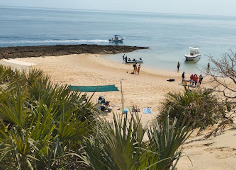Experience the breathtaking beauty and rich biodiversity of Mozambique at Island Safaris, a must-visit tourist attraction in Vilankulos.