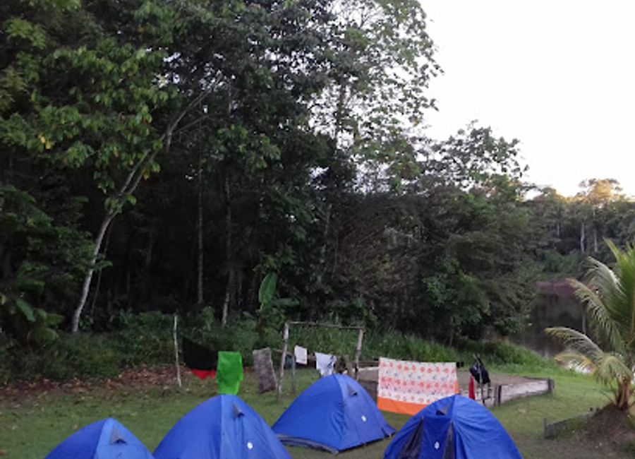 Discover the Amazon's treasures at Jungle Reps, an unparalleled tourist attraction in Iquitos offering immersive experiences in nature and wildlife.