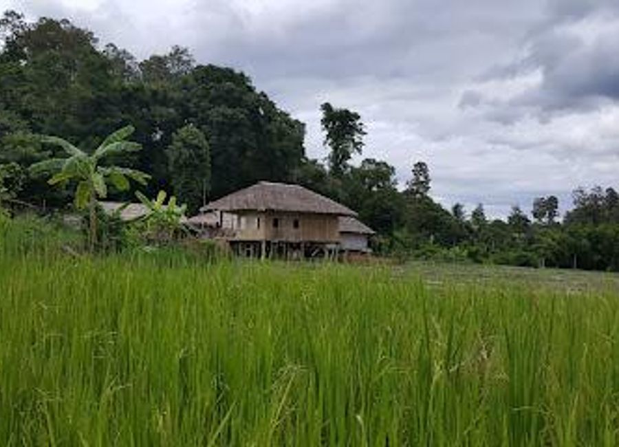 Discover the beauty and sustainability of rural life at Baan Tong Luang Eco-agricultural Village in Chiang Mai, where culture and nature harmoniously blend.