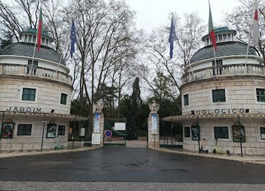 Explore the enchanting Jardim Zoológico in Lisbon, a vibrant zoo showcasing diverse wildlife and promoting conservation while providing a delightful experience for all ages.