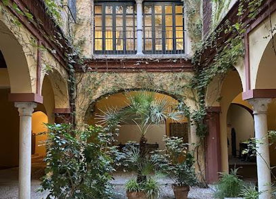 Discover the rich history and architectural beauty of Casa de Los Pinelo in Seville's historic Casco Antiguo district.