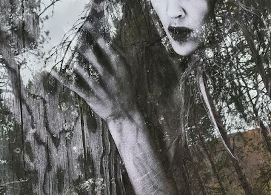 Explore the enchanting Huldreskogen in Geilo, Norway, where lush forests and captivating folklore await every traveler.