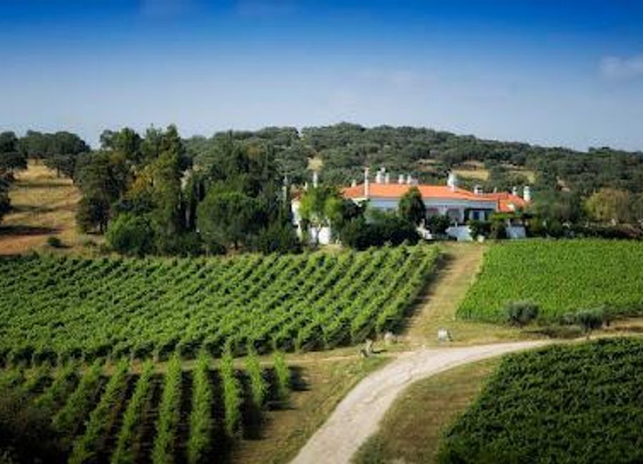 Discover the exquisite wines and rich heritage of Monte da Ravasqueira in Arraiolos, a perfect blend of culture and nature for every traveler.