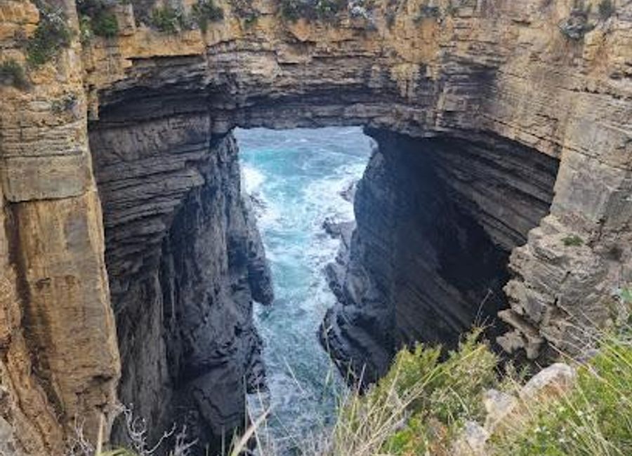 Explore the breathtaking Tasman National Park, a treasure trove of stunning landscapes, diverse wildlife, and rich cultural heritage in Tasmania.