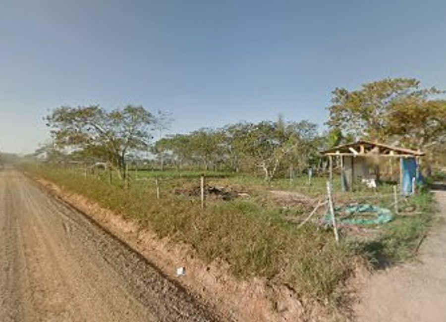 Discover the lush beauty and rich biodiversity of La Jungla de Doña Ayda, a must-visit tropical paradise in Puerto Maldonado, Peru.