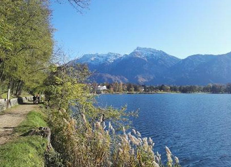 Explore the scenic trails of Sentiero Dei Pescatori in Levico Terme, where nature meets tranquility along the shores of Lake Levico.