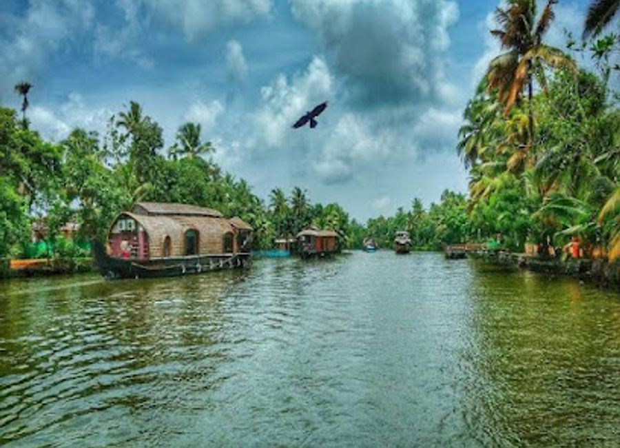 Experience the enchanting beauty of Kerala Backwaters, where tranquility meets vibrant culture amidst lush landscapes and serene waterways.