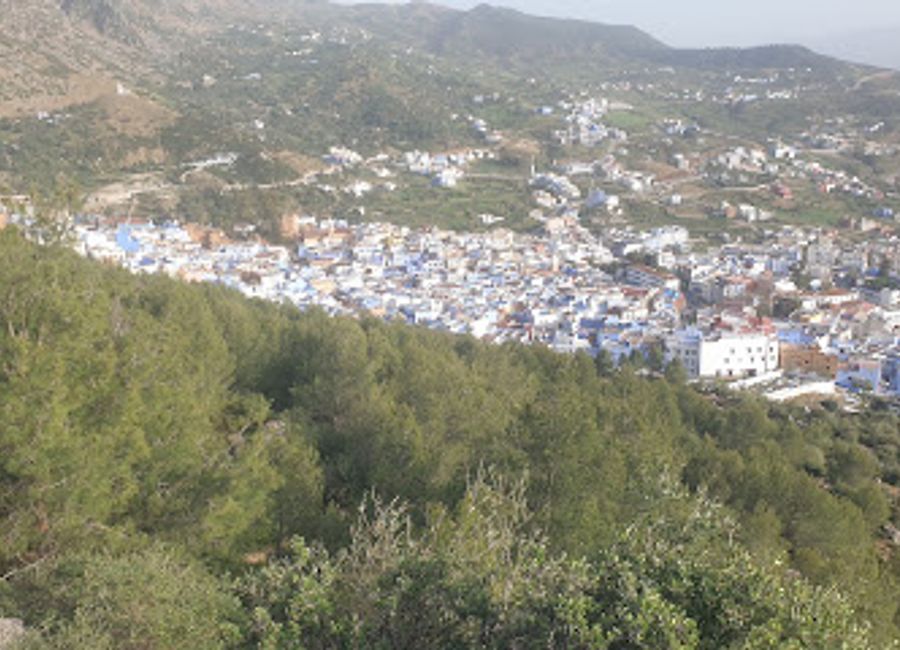 Discover the serene beauty of Park Sidi Abdelhamid in Chefchaouen, a tranquil escape filled with lush landscapes and vibrant flora.