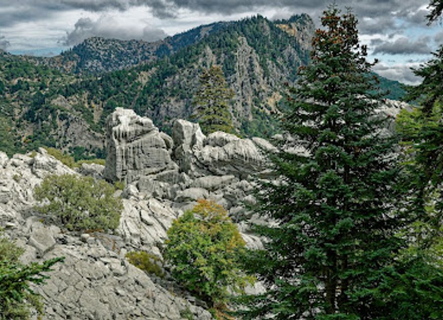 Explore Plaza España in Beni M'Hammed, where lush greenery and barbecue spots create the perfect retreat for relaxation and enjoyment.