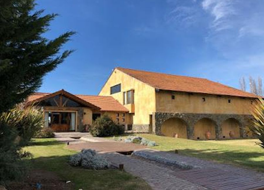 Discover the beauty of Mendoza at Bodega Piattelli Vineyards, where exquisite wines meet breathtaking landscapes.