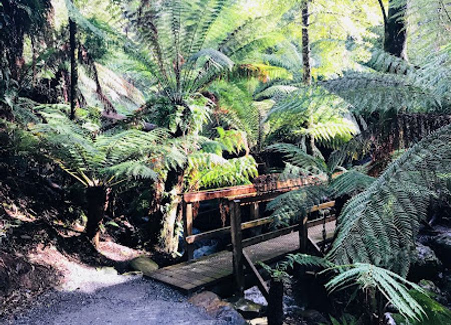 Discover Marakoopa Cave, a breathtaking natural wonder in Tasmania's Mole Creek Karst National Park, showcasing stunning formations and magical glowworms.