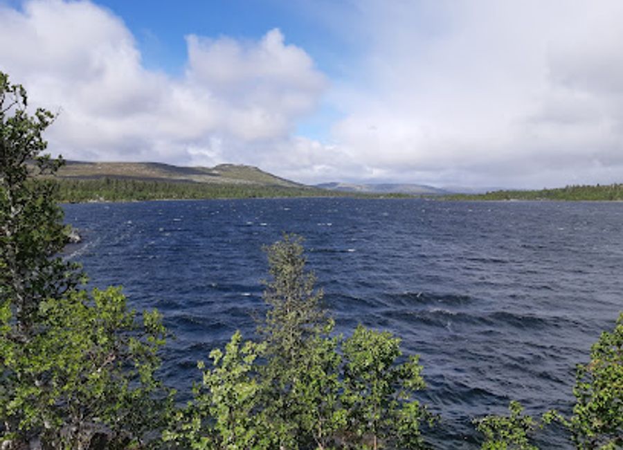 Experience the untouched beauty of Töfsingdalen National Park, a natural gem in Sweden offering breathtaking landscapes and outdoor adventures.
