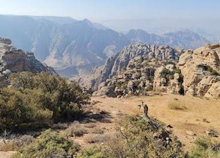 Discover the breathtaking landscapes and rich biodiversity of Dana Biosphere Reserve, a top destination for nature lovers and adventure seekers in Jordan.