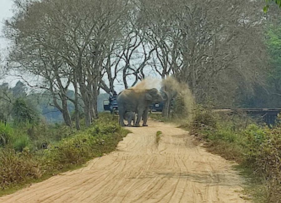 Explore the beauty of Kakochang Waterfall in Assam, a stunning natural attraction perfect for adventure seekers and nature lovers alike.