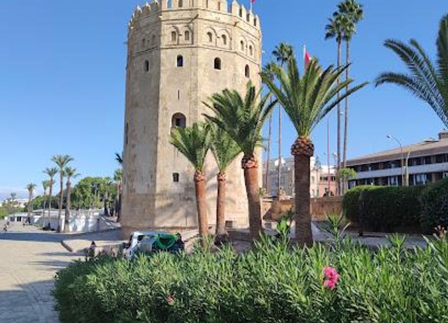 Explore the Torre del Oro, Seville's iconic historical landmark, showcasing the city's maritime history and offering stunning riverside views.