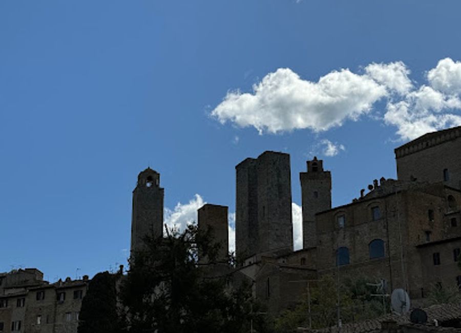Experience the grandeur of the Bagolaro di San Gimignano, an ancient tree and a natural monument in the heart of Tuscany's medieval gem.