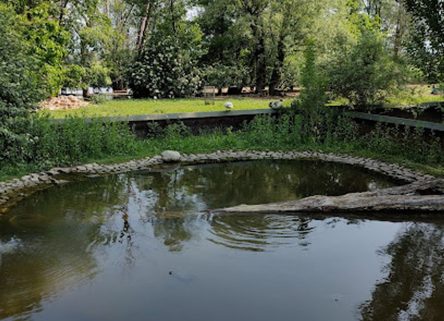 Explore the breathtaking Nature Oasis of Quadris, a serene nature preserve in Fagagna, offering tranquility and rich biodiversity for all nature lovers.