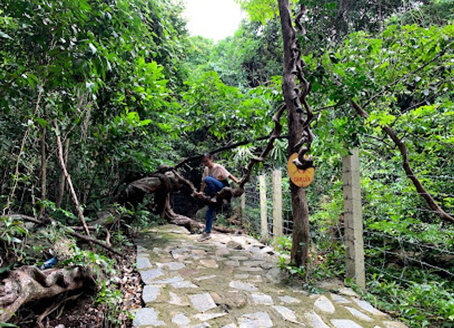Explore the serene beauty and spiritual significance of Holy Cave, a hidden gem in Ba Ria - Vung Tau, Vietnam, perfect for pilgrimage and adventure.