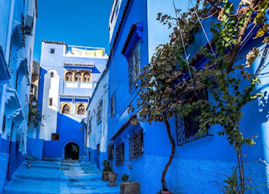 Explore Chefchaouen's vibrant blue streets and rich culture with Blue Medina Tours for an unforgettable Moroccan adventure.
