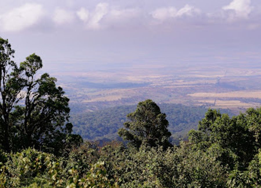 Explore the breathtaking Ngorongoro Conservation Authority, home to stunning wildlife, rich culture, and remarkable landscapes in Tanzania.
