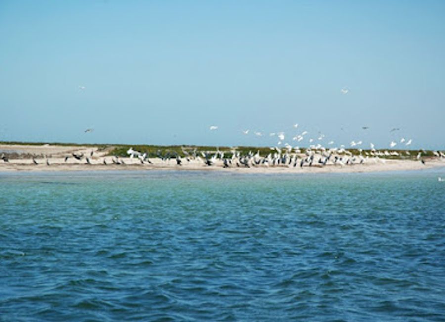 Explore the breathtaking landscapes and rich cultural heritage of Tinghir, Morocco, the gateway to the stunning Todra Gorge.