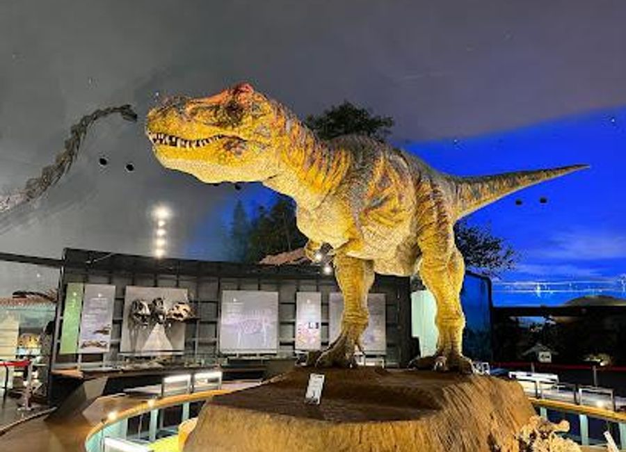 Explore a world of dinosaurs at Japan's largest dinosaur museum in Katsuyama, Fukui – a prehistoric adventure for all ages.