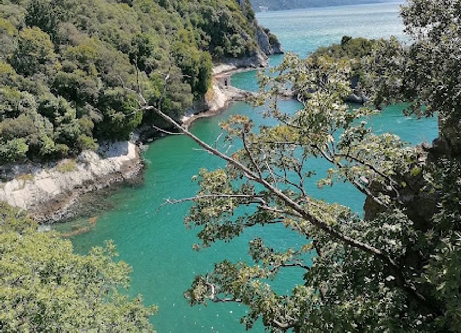 Discover Grotta Gigante, one of the world's largest caves, featuring stunning rock formations and a fascinating underground world in the heart of Trieste.