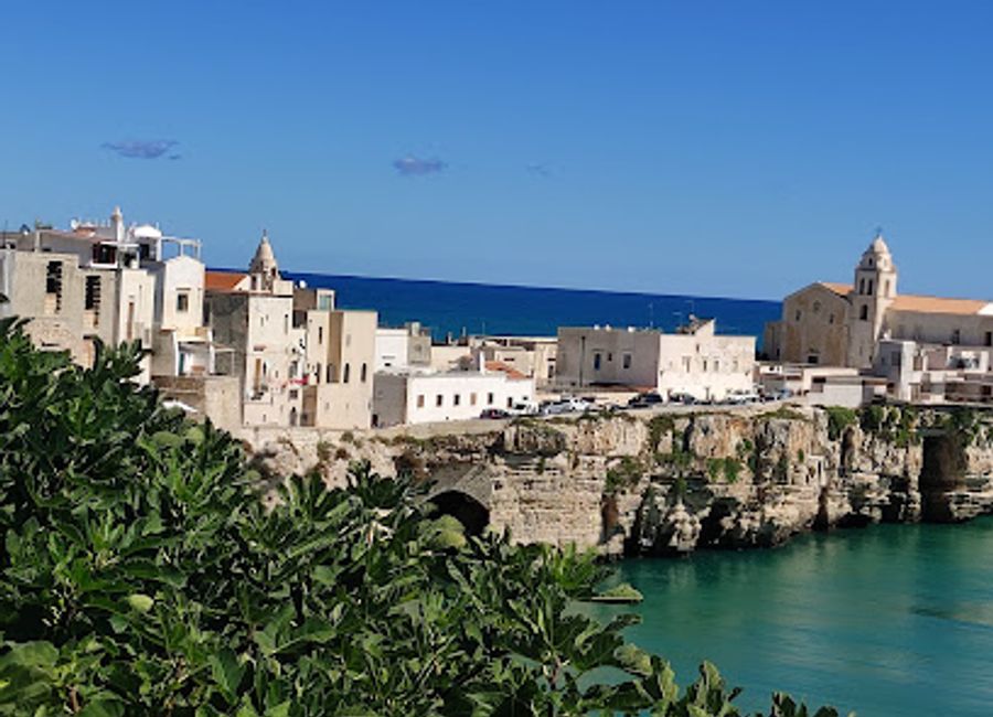 Explore the stunning natural beauty and rich biodiversity of Parco Nazionale del Gargano, a top destination in Foggia, Italy.