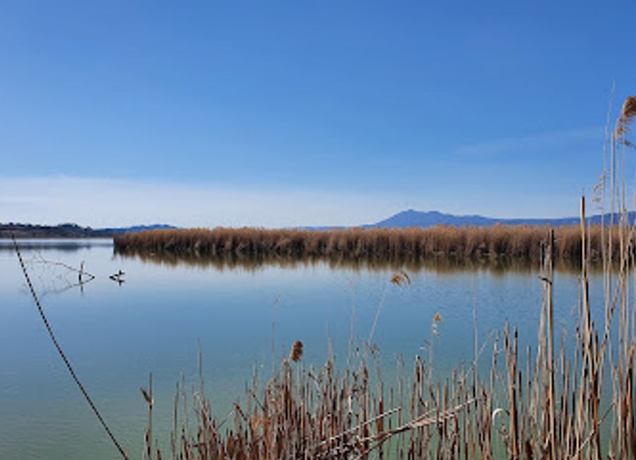 Discover the tranquil beauty and diverse wildlife at the Visitor Center Nature Reserve Lago di Montepulciano, a perfect escape in Tuscany.