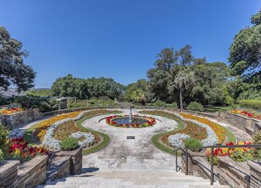 Explore the Royal Botanic Garden Sydney, a stunning oasis with diverse plant species, breathtaking views, and a perfect escape in the heart of the city.
