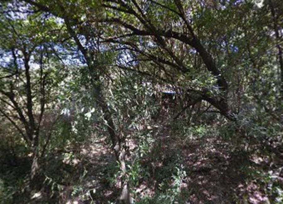 Embark on an unforgettable Elephants Trek in Maasai Mara, witnessing majestic elephants in their natural habitat amidst breathtaking landscapes.