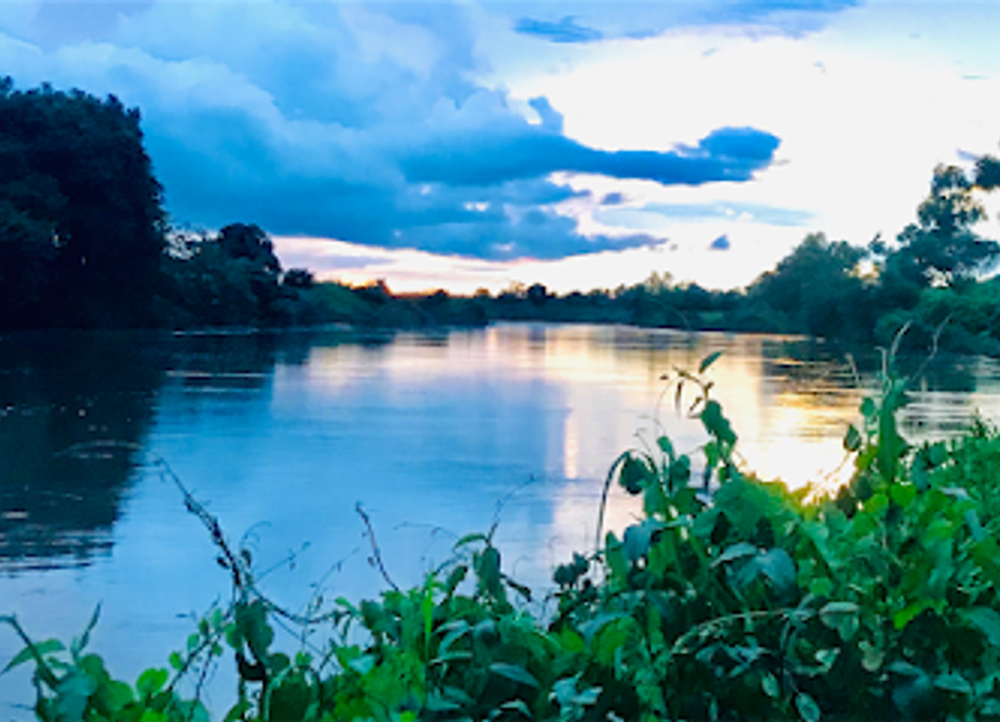 Explore the vibrant ecosystems and unique wildlife at Bioparc de Kédougou, a must-visit park in Senegal for nature enthusiasts.