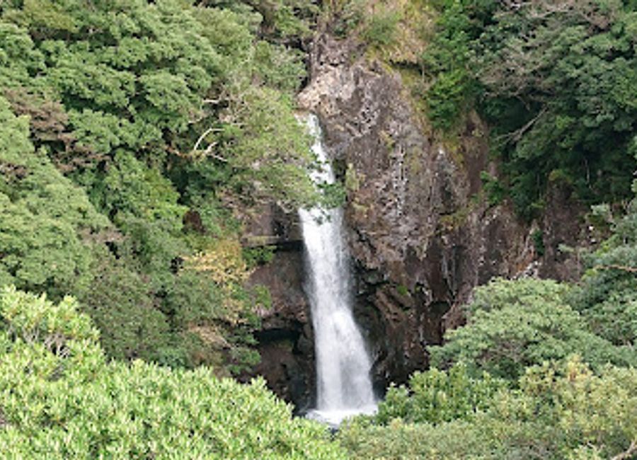 Explore the breathtaking Ryujin Falls in Yakushima, a natural wonder surrounded by lush forests and stunning landscapes, perfect for nature lovers.