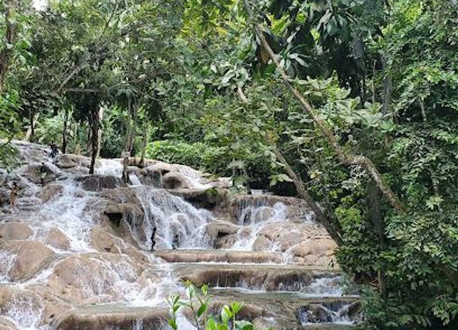 Experience the natural wonder of Dunn's River Falls in Ocho Rios, Jamaica, where adventure meets breathtaking beauty in a tropical paradise.