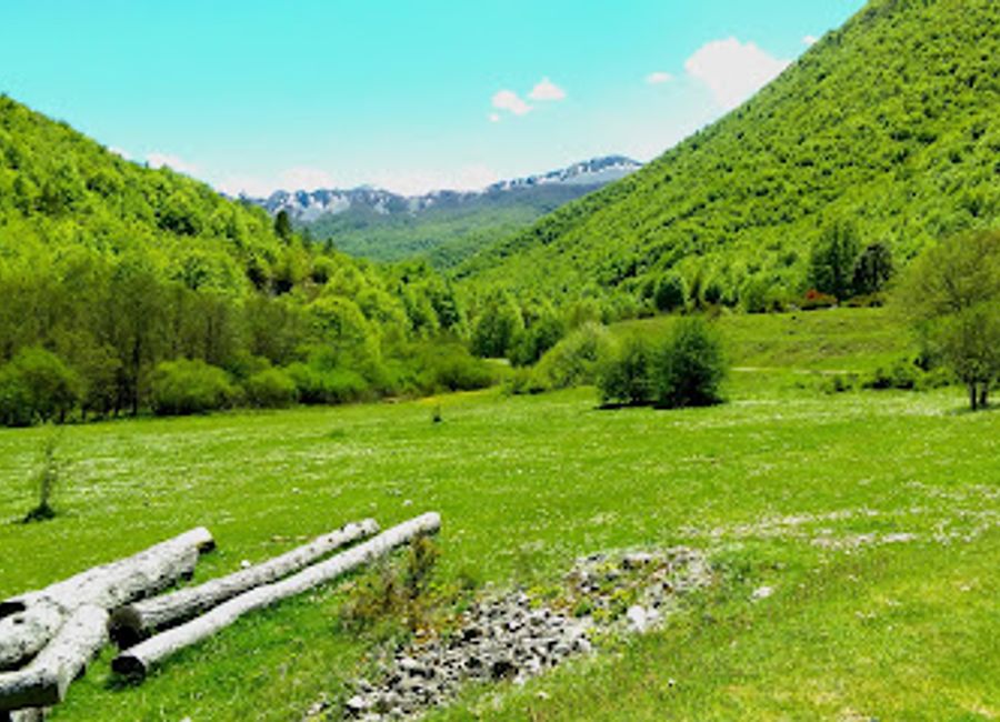 Explore Val Fondillo, a serene nature preserve in Abruzzo, Italy, where stunning landscapes and diverse wildlife await your discovery.