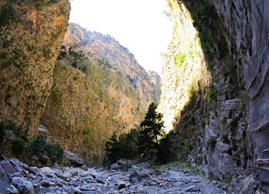 Experience the stunning natural beauty and diverse wildlife of Samaria Gorge, a premier hiking destination on Crete's breathtaking landscape.