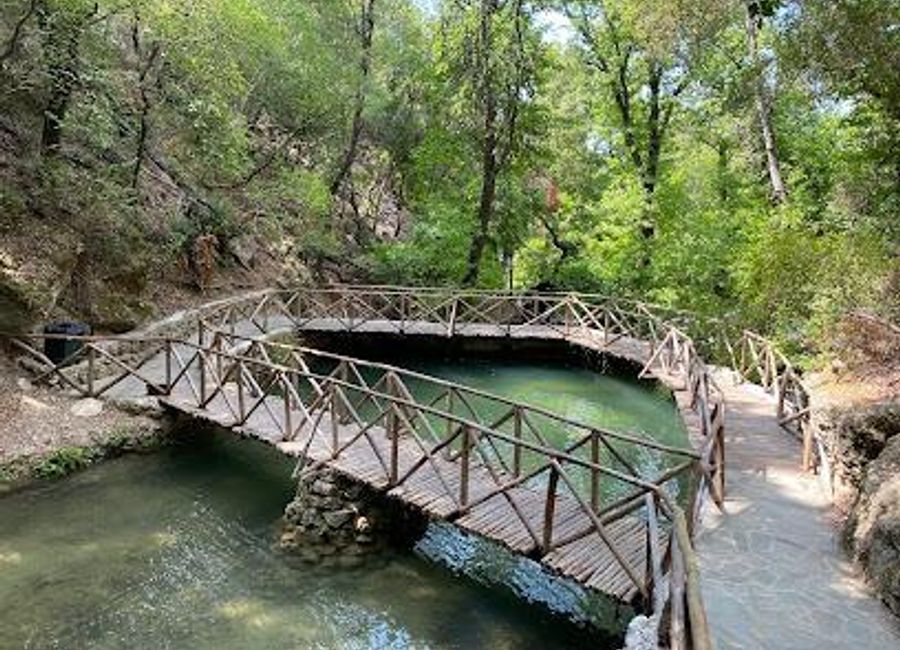 Explore the serene beauty of Butterflies Valley in Rhodes, Greece, where nature and vibrant butterflies create a breathtaking outdoor experience.