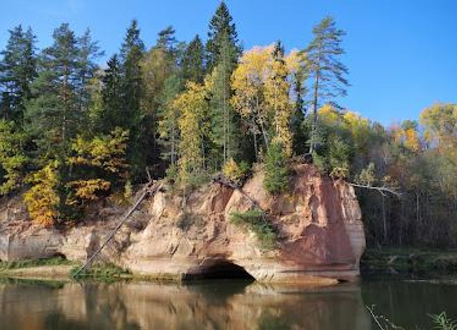 Discover the enchanting landscapes and diverse wildlife at Līgatne Nature Trails, a hidden gem in Latvia perfect for nature lovers and outdoor adventures.