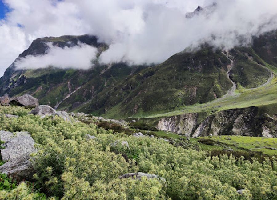 Discover the enchanting beauty of Vasudhara Falls, a serene nature preserve in Uttarakhand, where cascading waters meet breathtaking Himalayan landscapes.
