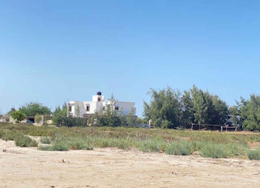 Explore the serene Langue de Barbarie Nature Preserve, a haven for bird watchers and nature lovers in St. Louis, Senegal.
