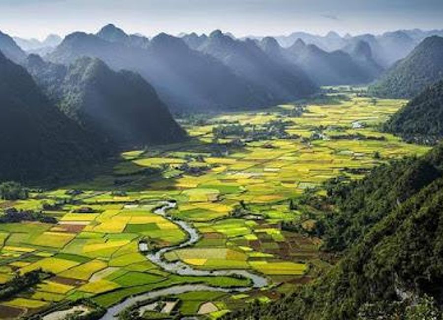 Day 5 Embracing the Mist: A Day Among Sapa's Rice Terraces and Tribal ...